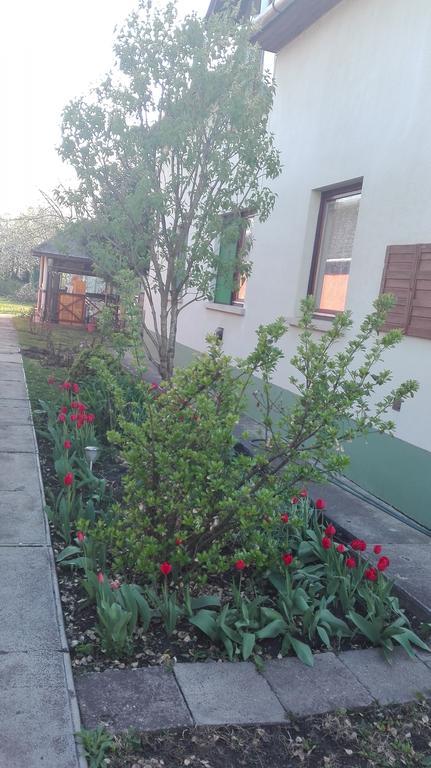 Plajbi Apartment Hajdúszoboszló Buitenkant foto